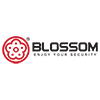 BLOSSOM